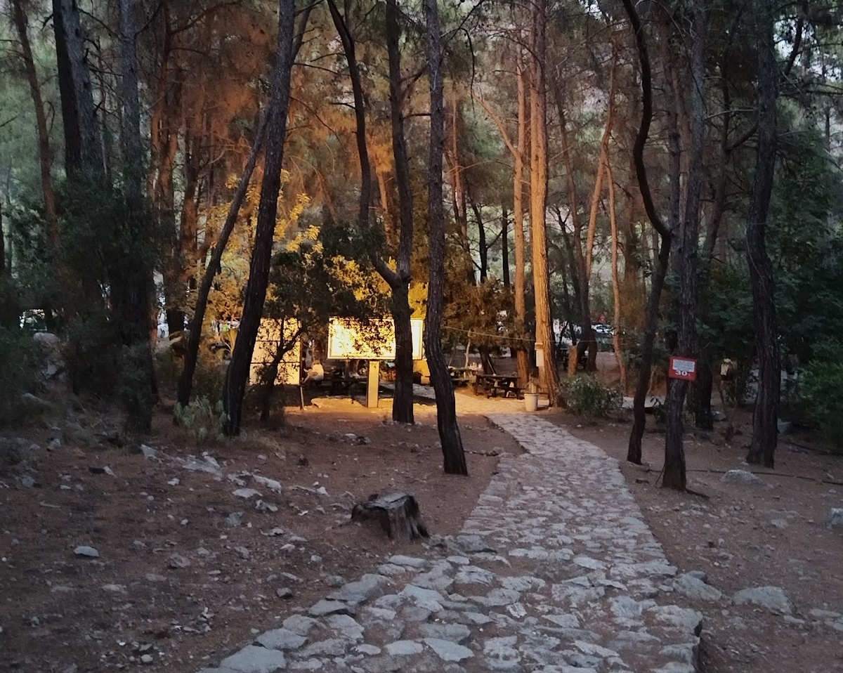 Тропа на гору Химеру. Турция. Фото автора - Татьяна Фомичева