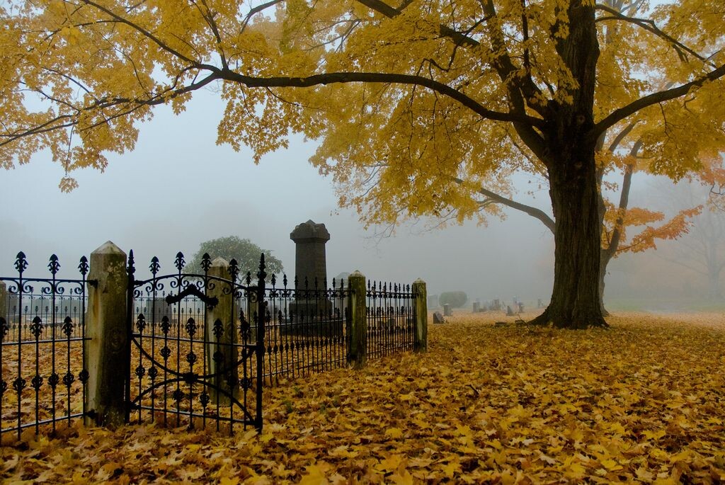 фото из сети