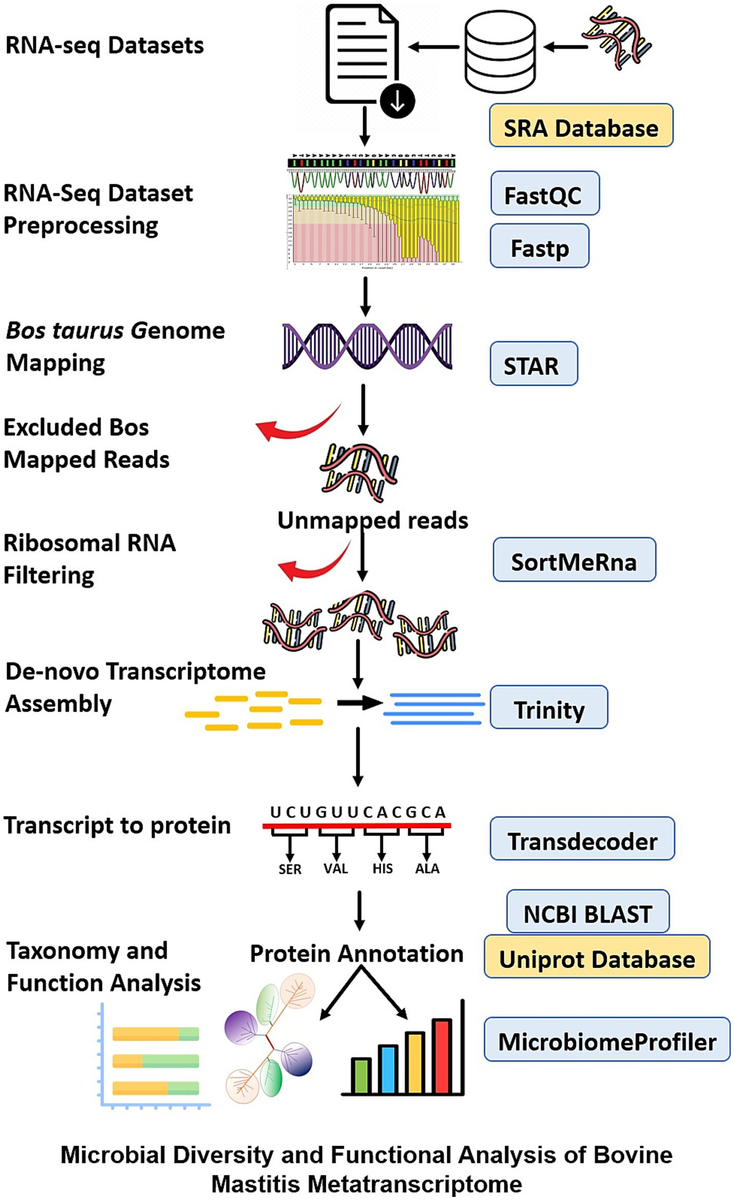 Схематическое изображение метатранскриптомического исследования, проведённого с целью выявления транскрипционно активных бактериальных патогенов, связанных с маститом у крупного рогатого скота.