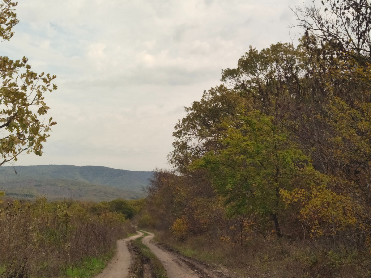 Свернули с трассы 