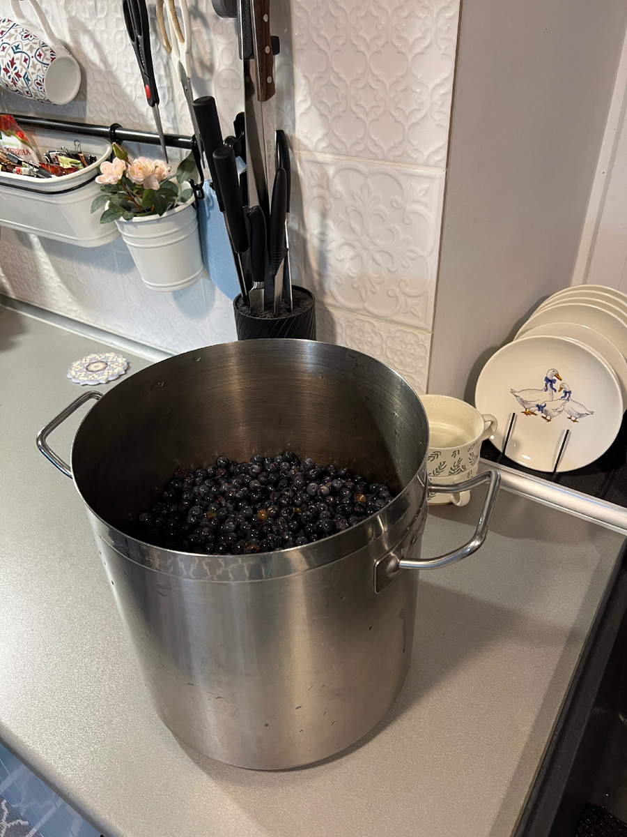 Виноград Изабелла - любимый вкус винограда