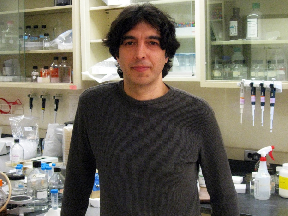 Его методика псевдоголодания и «диета долголетия» – не очередной тренд, а научно обоснованная система, которая реально замедляет старение клеток.
