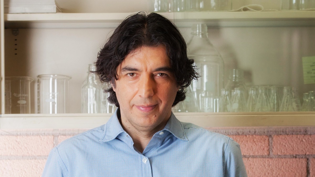 Важно: это не «сидим без еды и мучаем себя». Там есть конкретные таблицы и наборы продуктов, которые обеспечивают организм всем необходимым.
