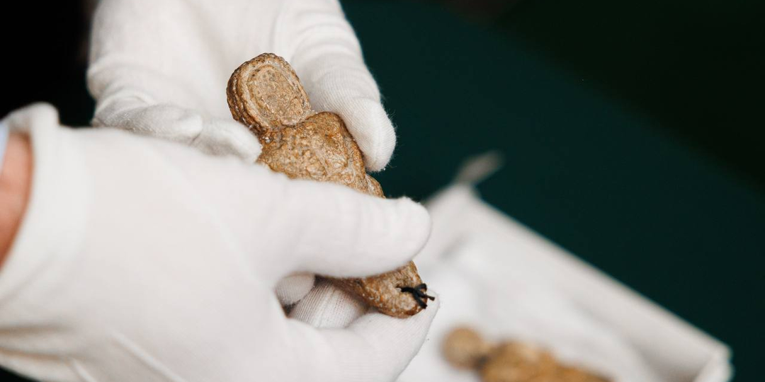 Палеолитические венеры и проект "Сны Сибири"