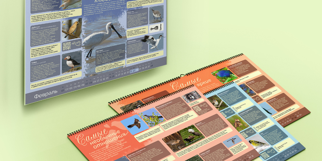 Новый авторский календарь-справочник, посвященный птицам