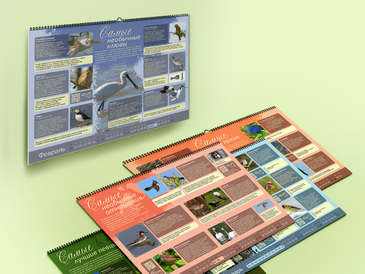 Каждый месяц - новая группа птиц