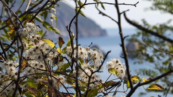    © РИА Новости Крым . Дмитрий Макеев