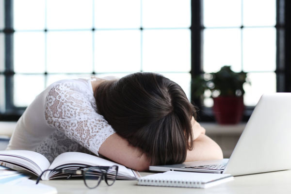     Фото: pxhere.com