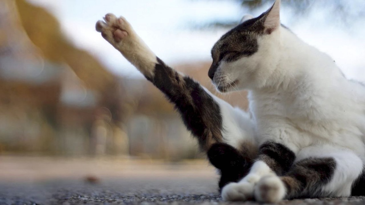 А потом по лестнице вверх и налево