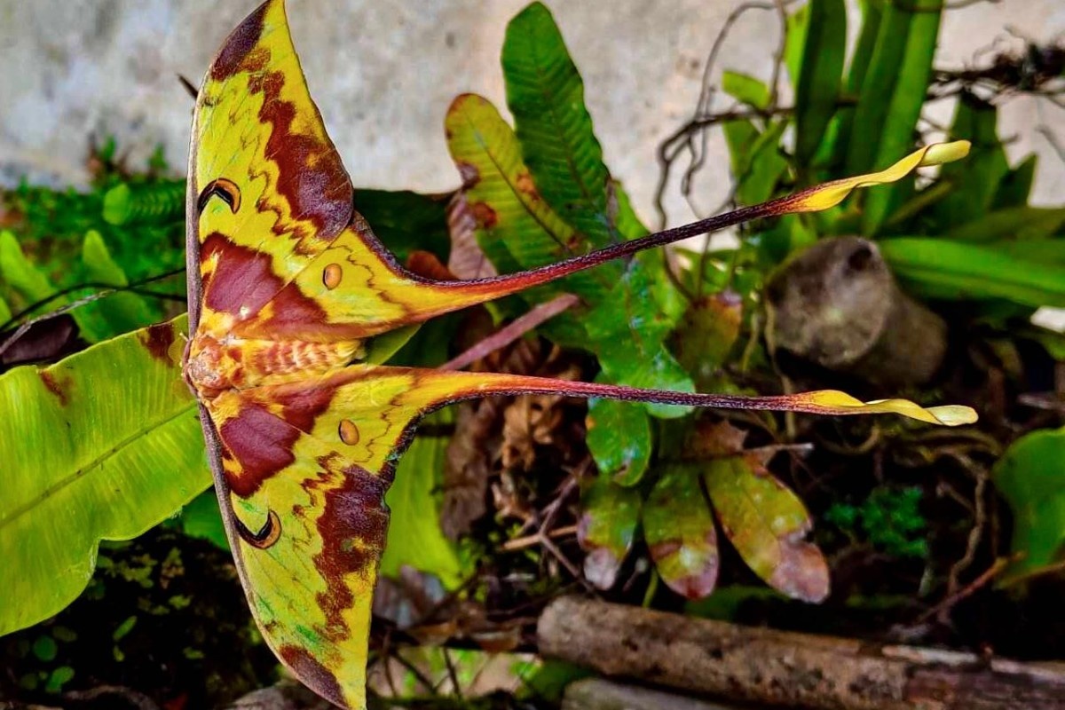 Фото: ежедневная газета Bangkok Post