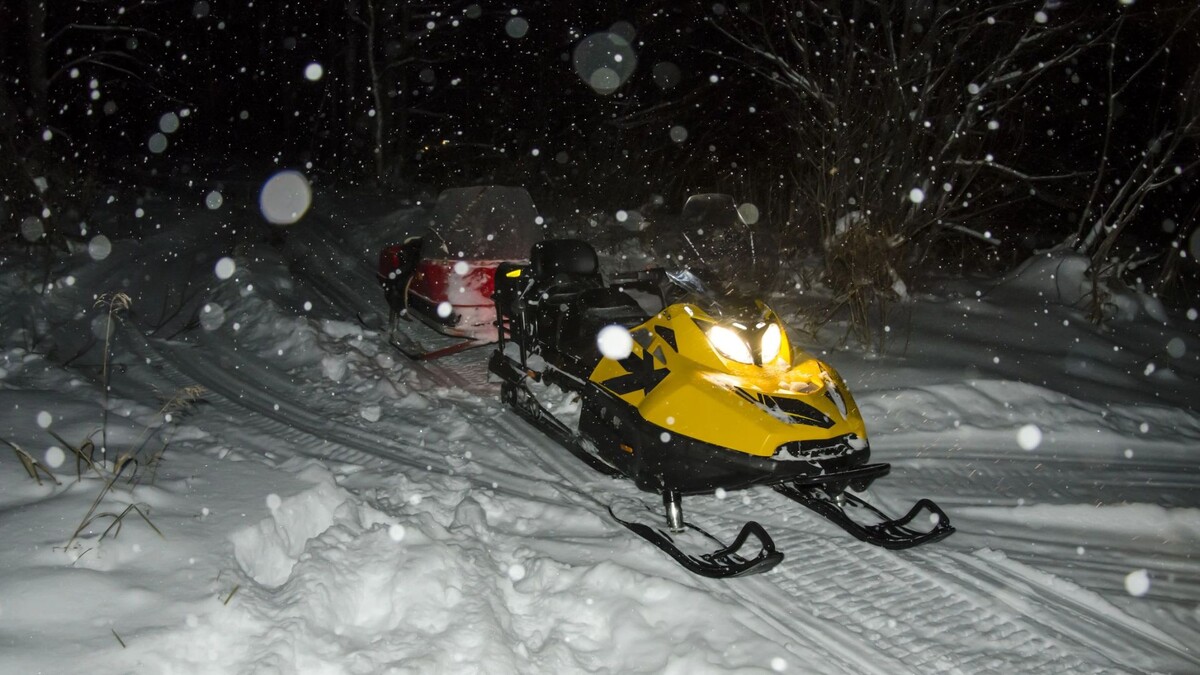    Фото: Artem Svidersky/Shutterstock/Fotodom