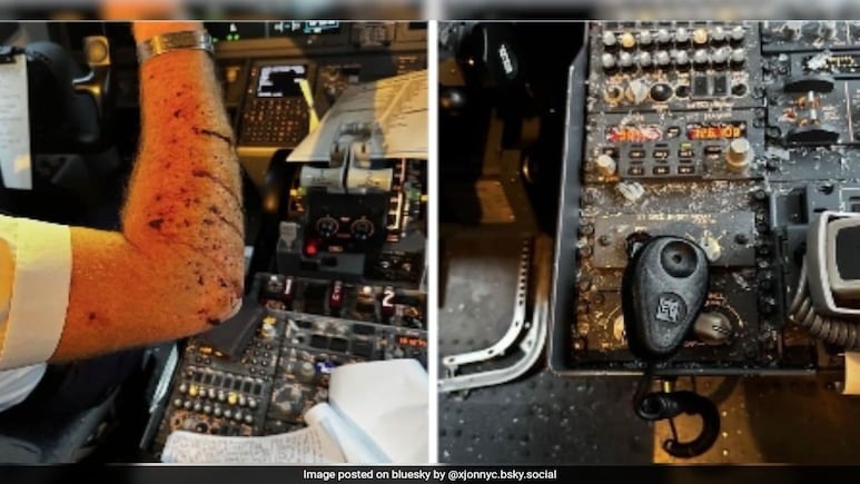     Источник: Instagram* / bluesky