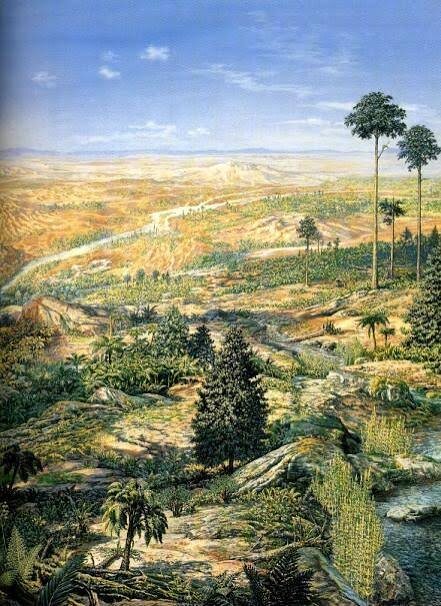 Триасовая флора.