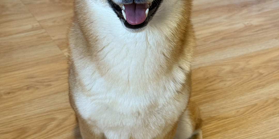 Почему команда „нельзя“ не работает