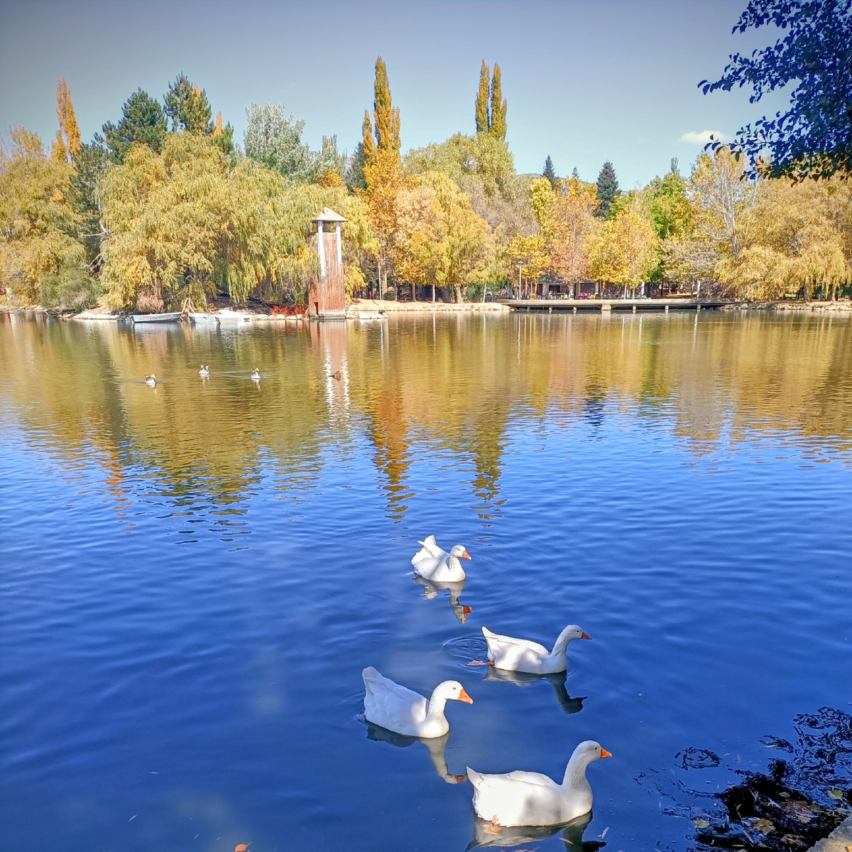 Озеро в городе Puigcerda.Cerdanya. Каталония. Испания. Фото автора 