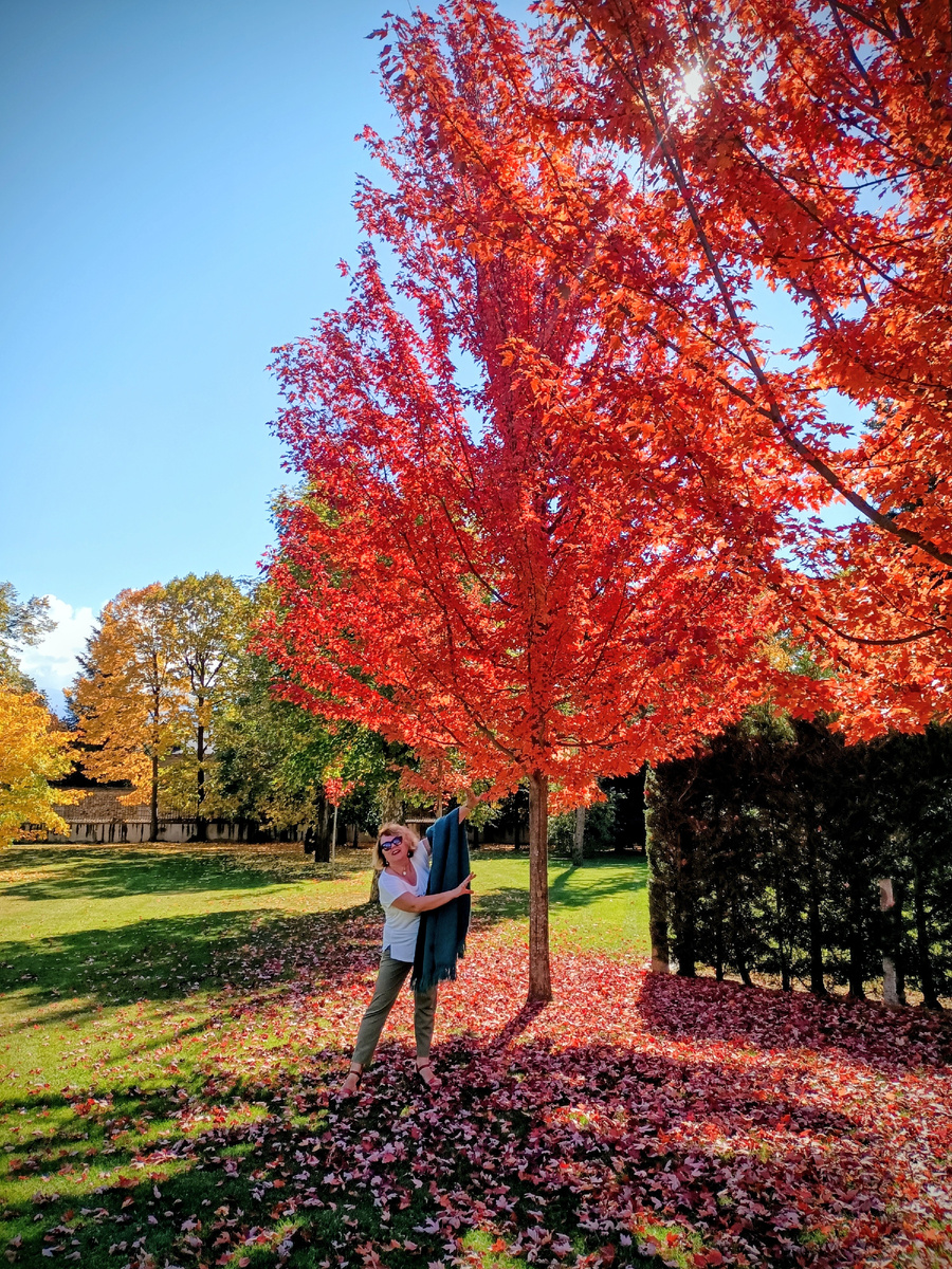 Без комментариев. Puigcerda.Каталония. Испания. Фото автора .
