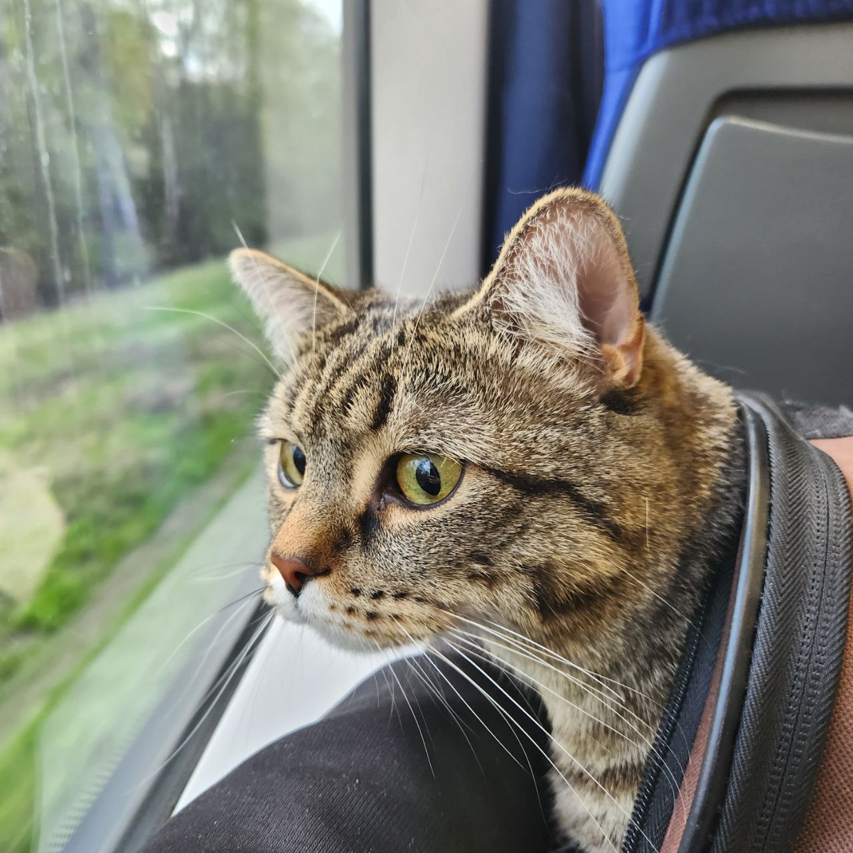 Он по-прежнему заядлый путешественник)