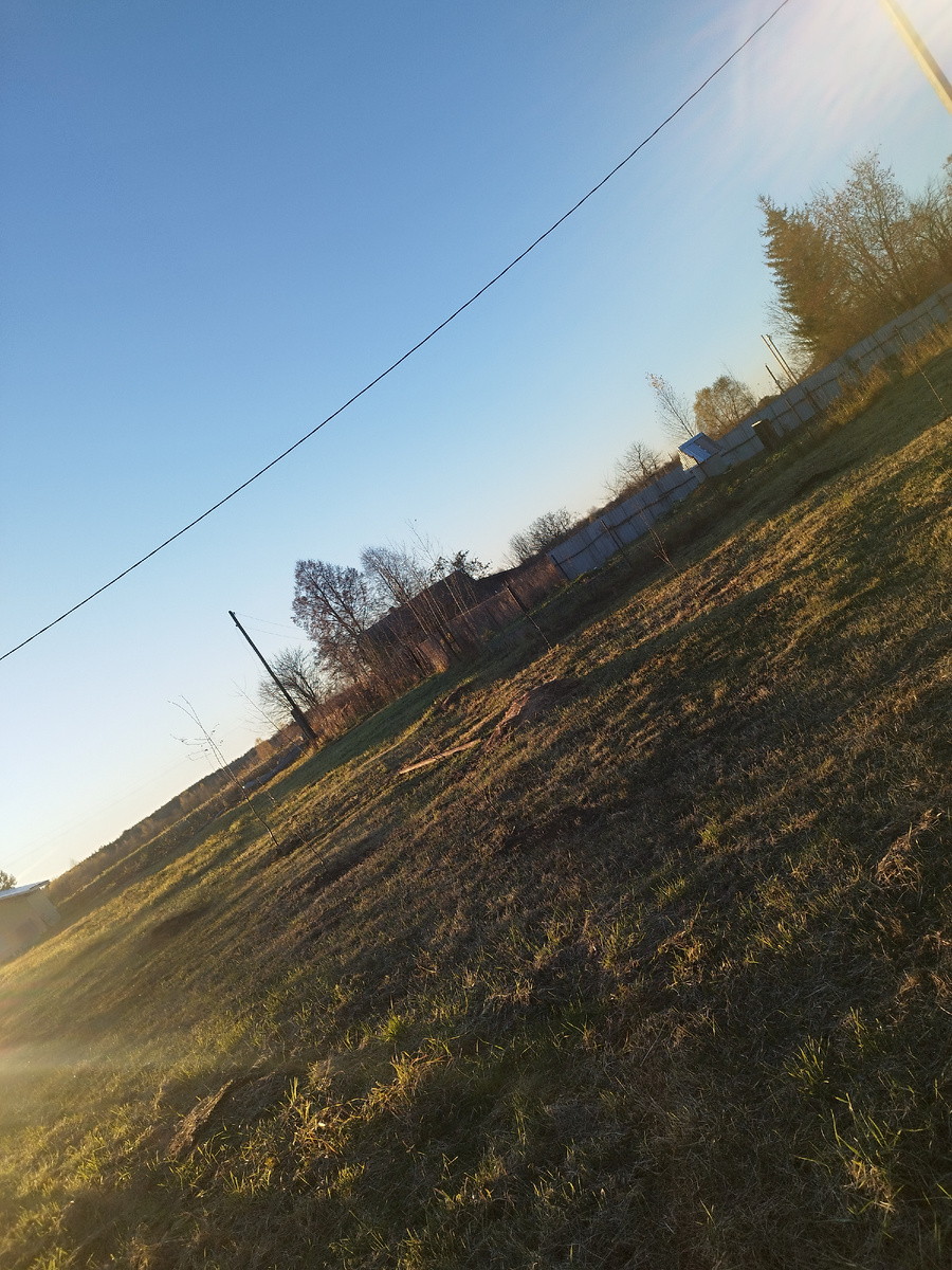 На фото  с трудом можно разглядеть наш будущий сад. 