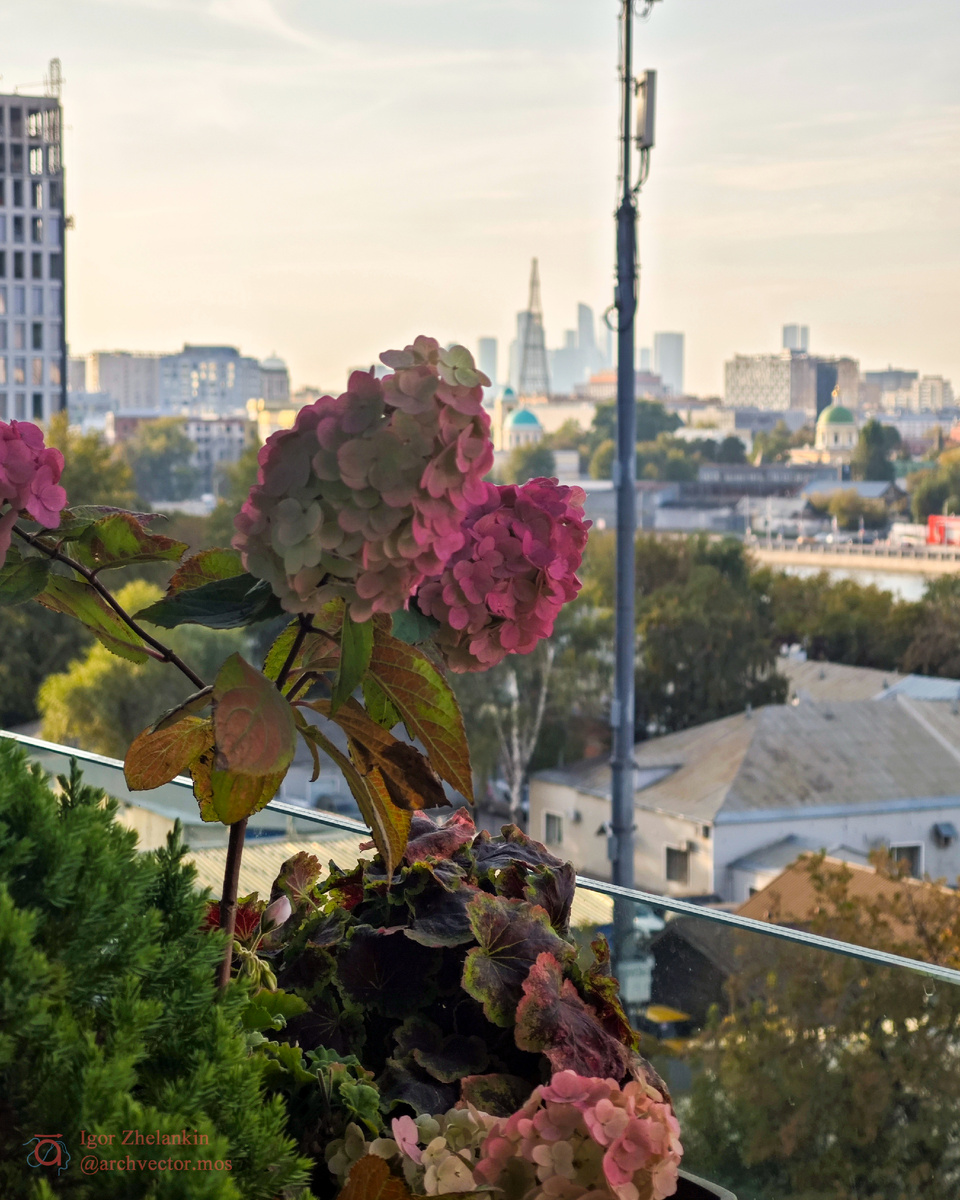 Еще немного красоты с террасы ТЦ "Ривьера". Фото автора, 2025г.