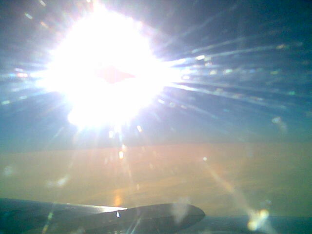 Фото автора. Снято телефоном Nokia