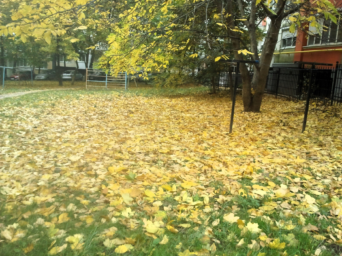 Фото автора