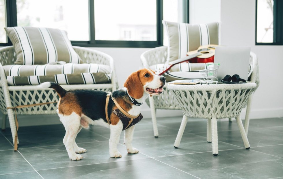 Фото с сайта: freepik.com