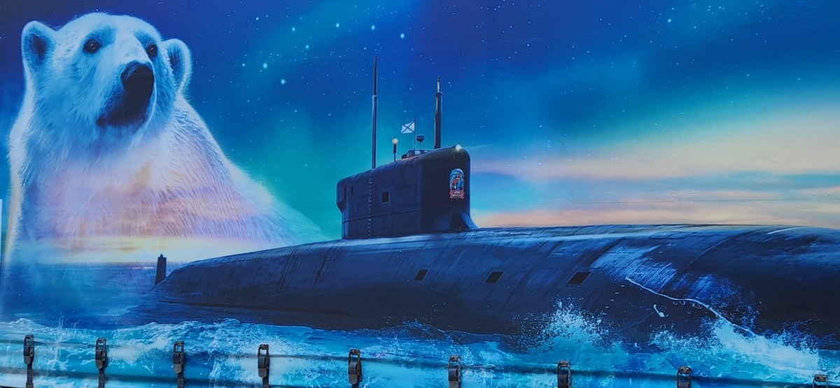 Фото с билборда СПО "Арктика"