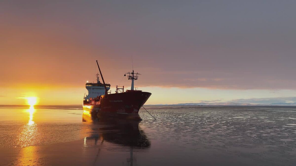 Фото https://t.me/artel_90