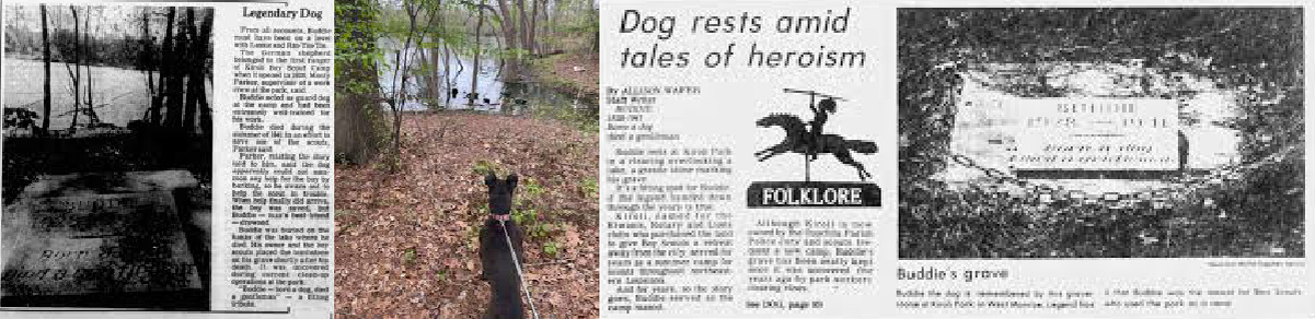 вырезки из газет и упоминания Бадди