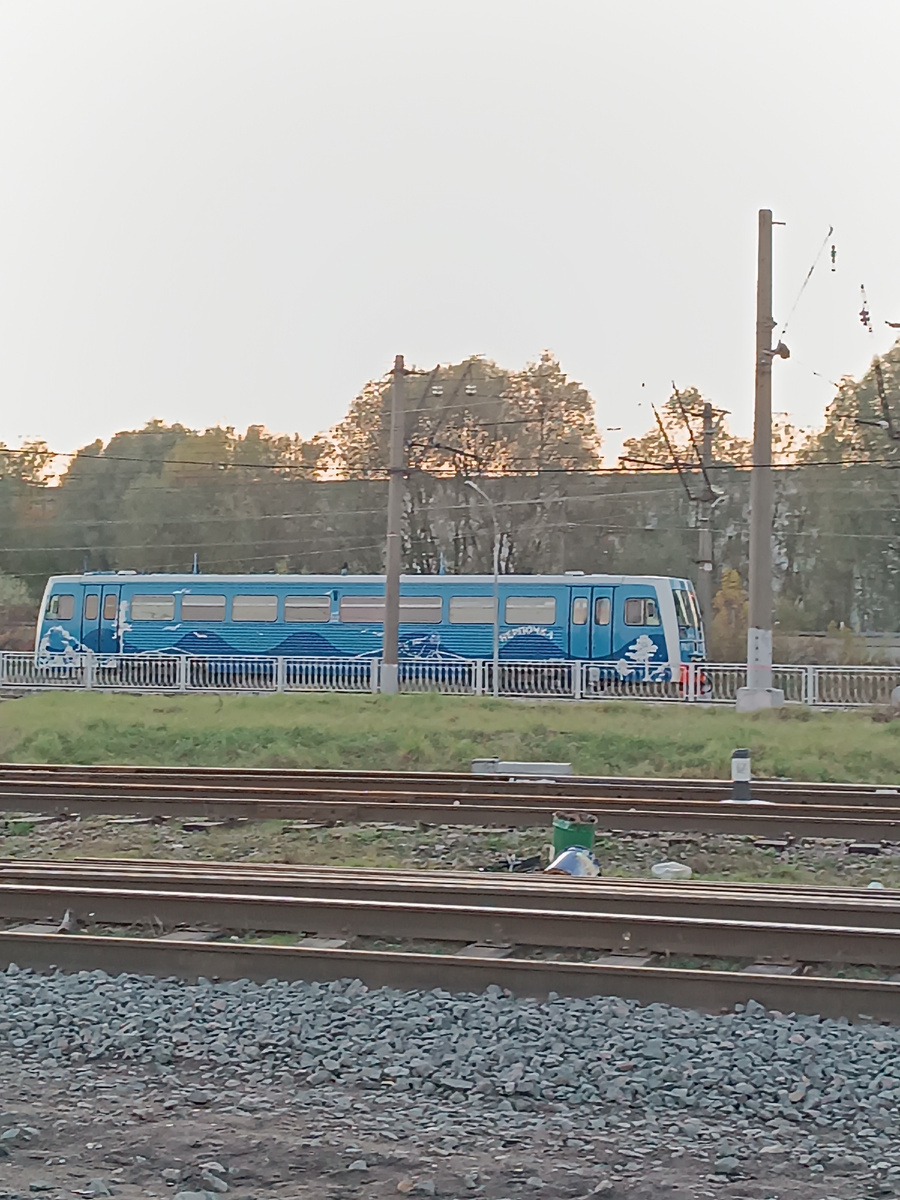 Какая красивая электричка у нас проезжала