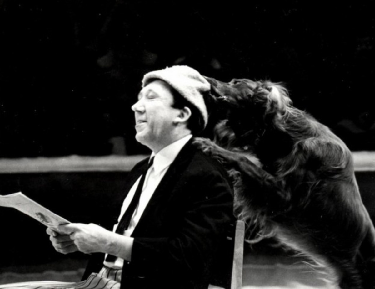 Юрий Никулин и сеттер Люкс в репризе «Похищение шапок»