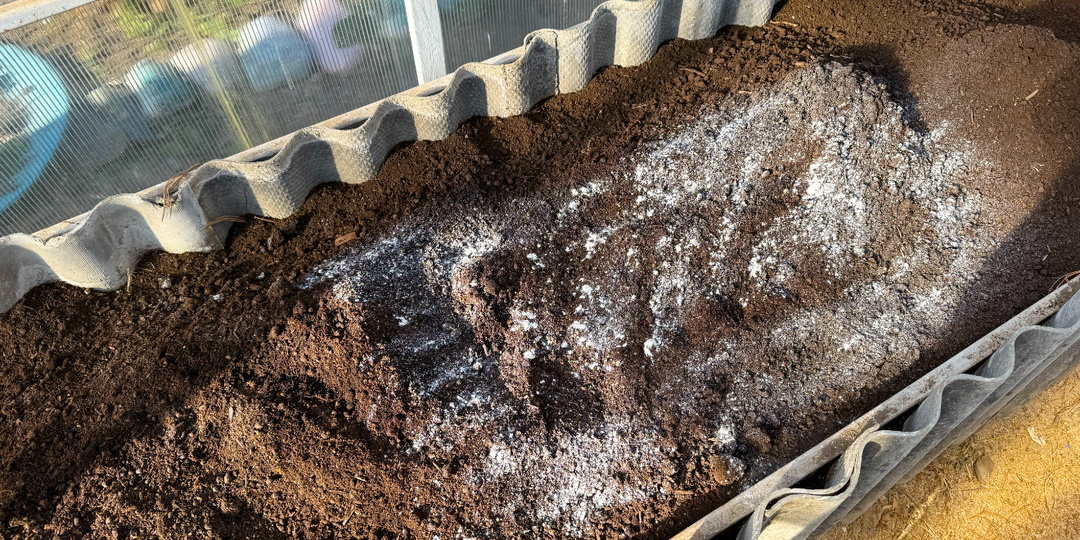 В 100 РАЗ ЛУЧШЕ НАВОЗА И БЕСПЛАТНО! Вот что внести в почву с осени для улучшения плодородия