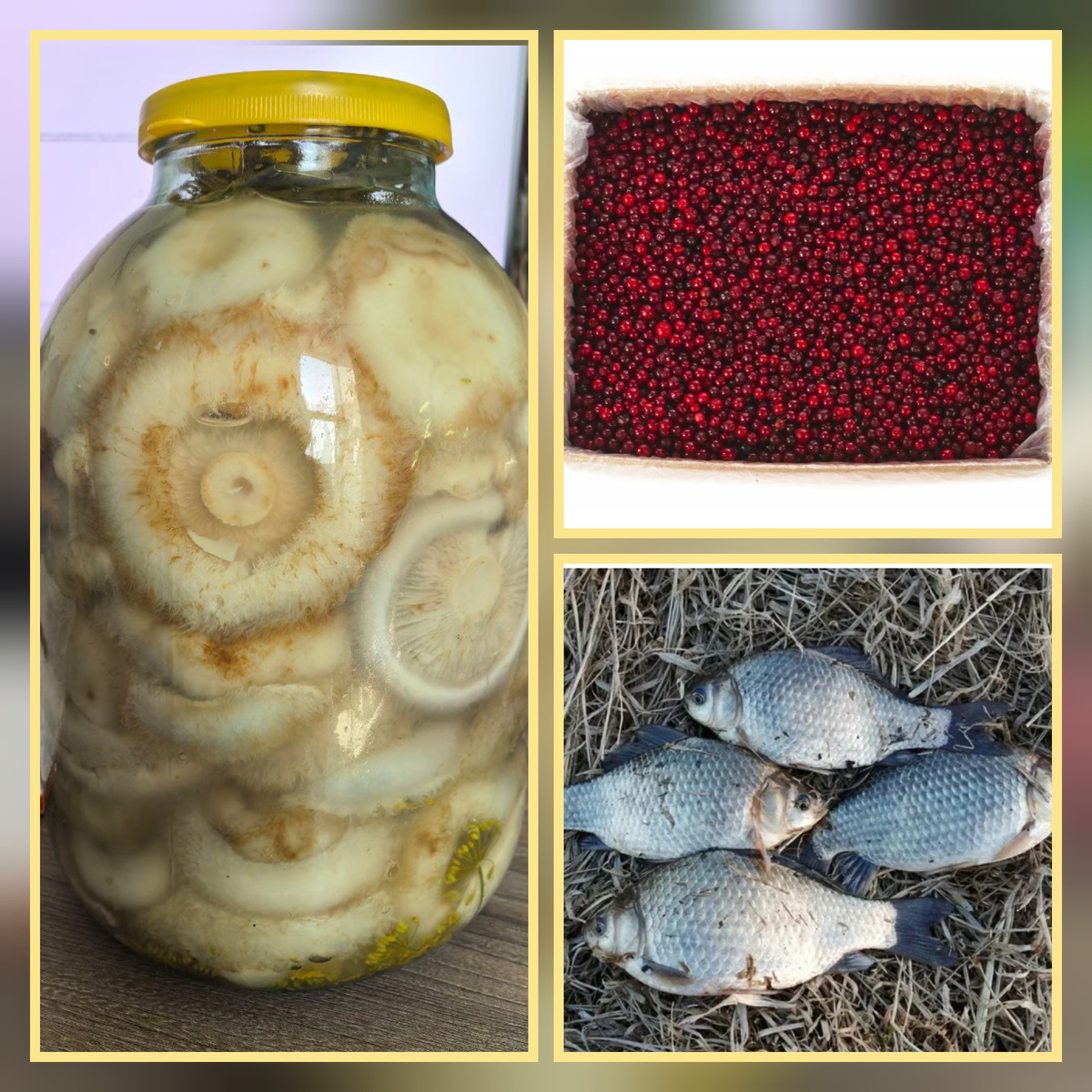 Я довольна добычей. 😀 Повезу к маме.