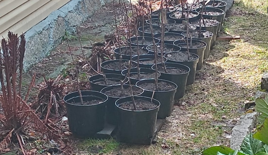 Скриншот автора с канала Кунгуровой Ю.ВКонтакте