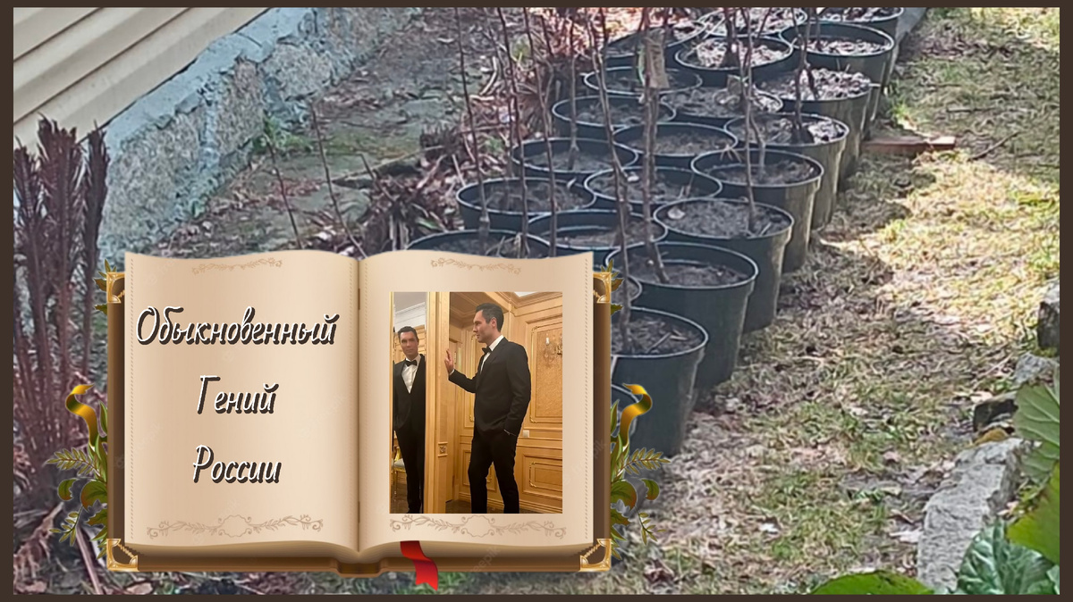 Коллаж автора