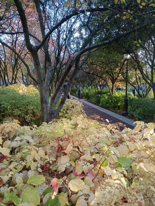 А эту фоточку лично сделала. "Новая Голландия" в Питере