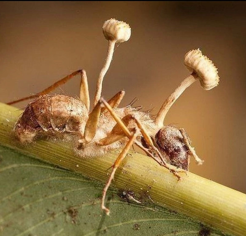 Источник: sun9-59.userapi.com