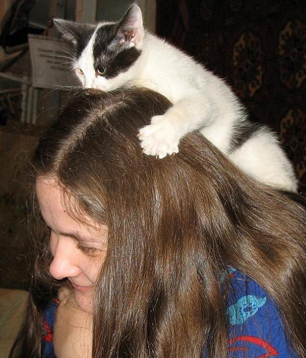 Такой вот совместный ритуал чистоты