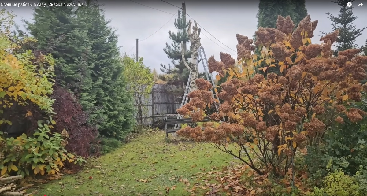 Скриншот из видео "Осенние работы в саду Сказки в избушке"