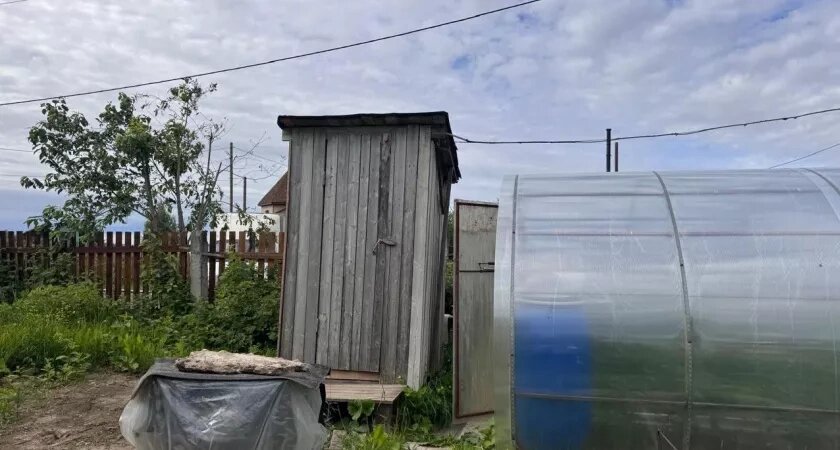    Кидаю эти грибы в выгребную яму и экономлю на откачке — натуральное средство для септиков