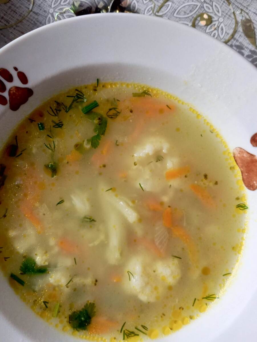 Вот такой овощной крупяной супчик