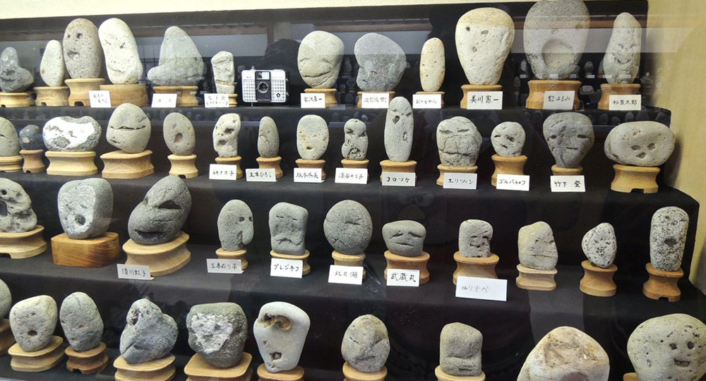 Самые необычные коллекции в мире: зубочистки, стульчаки, кожа и другие