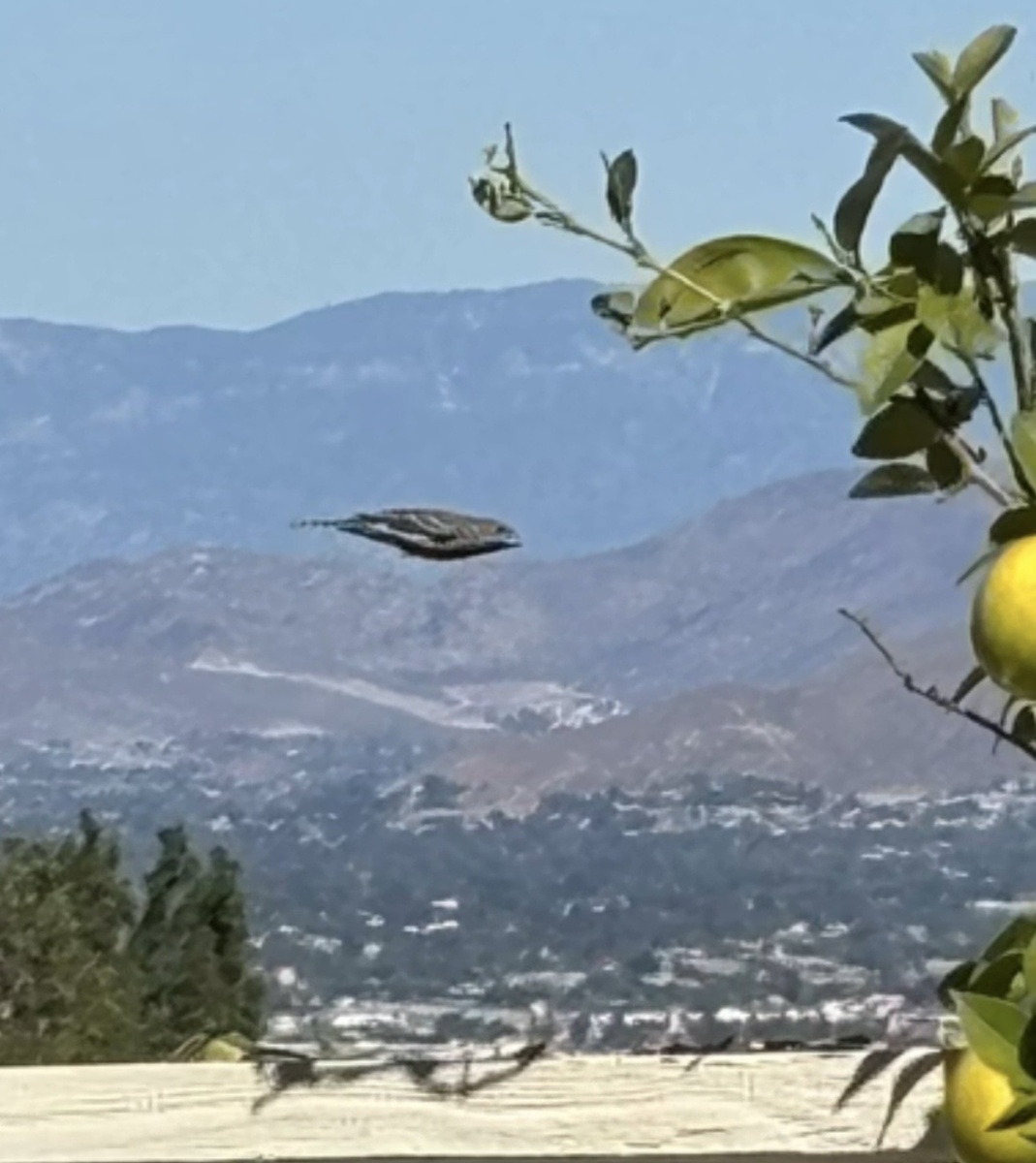 Из личного архива 