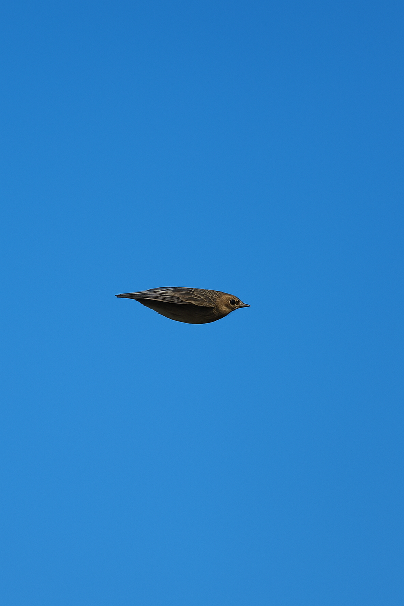 ИИ сгенерировал картинку по моей фотографии.