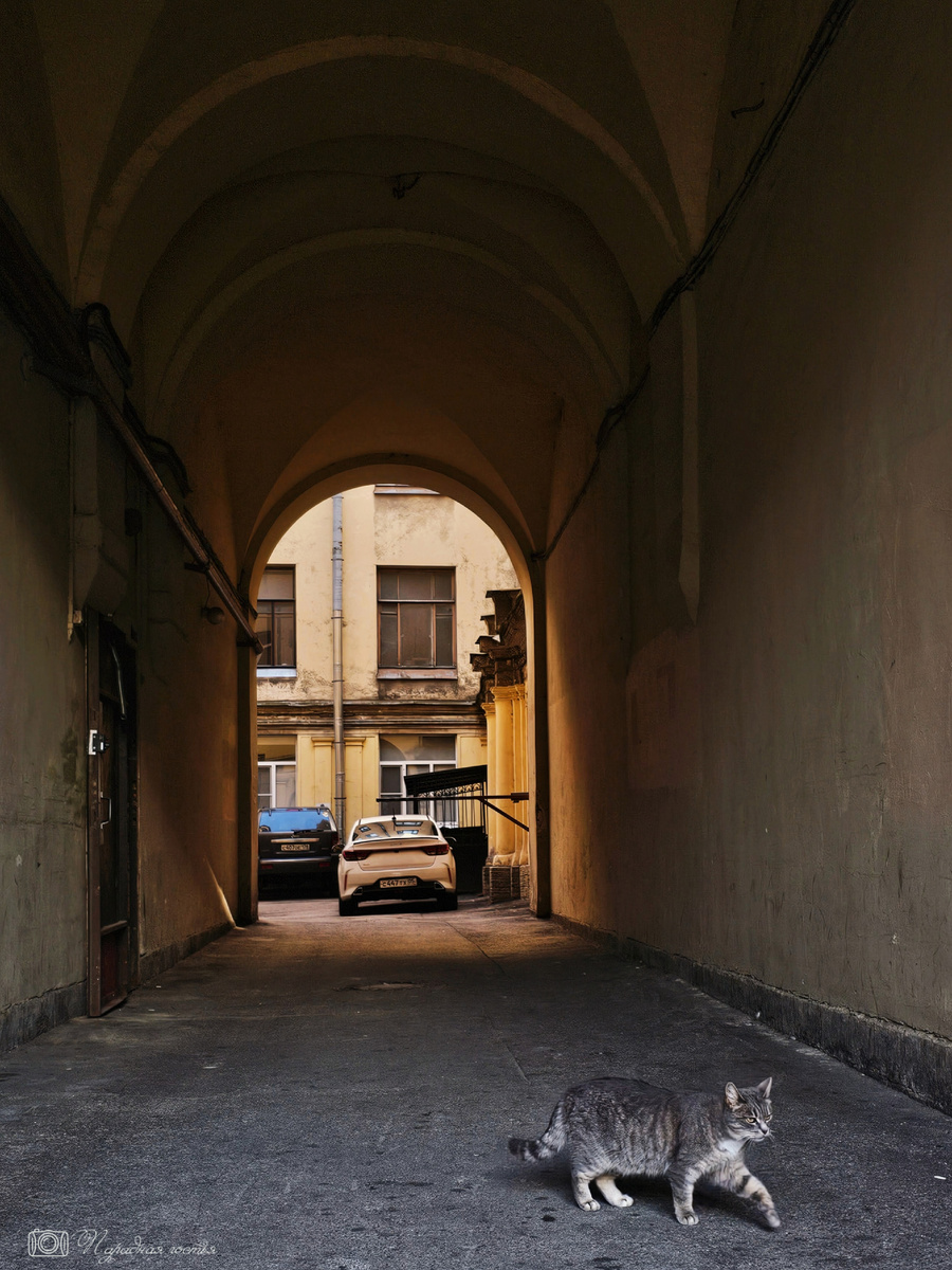 Во двор этого дома обязательно стоит заглянуть. Фото: Парадная гостья