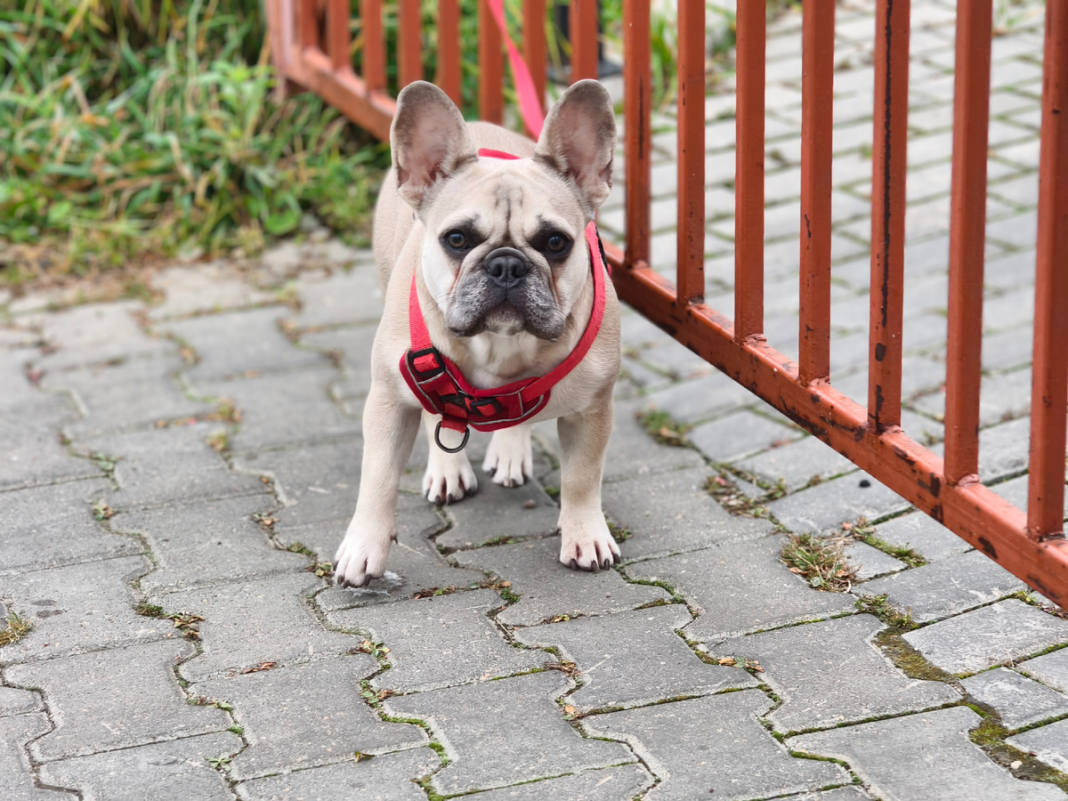 На посту в любую погоду 