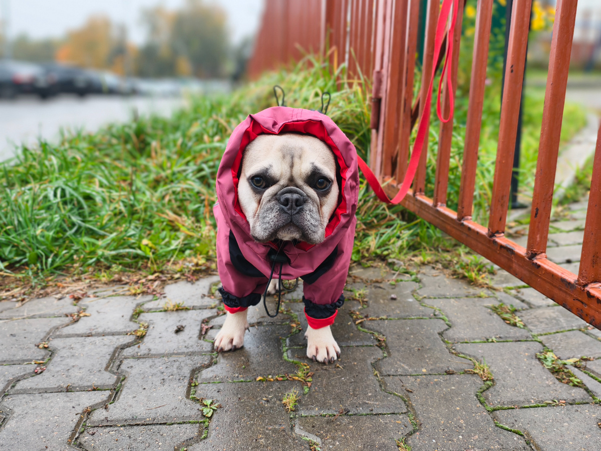 На посту в любую погоду 