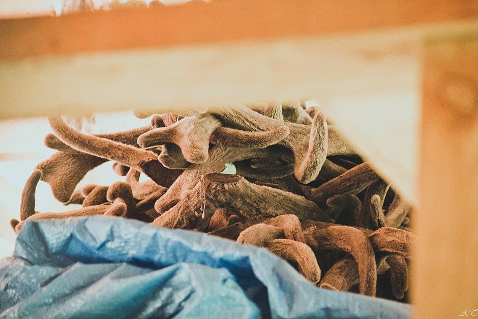 Фото взято из открытых источников