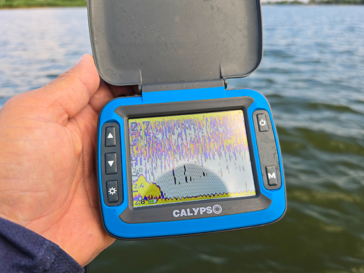 Фото: Давид Яковлев