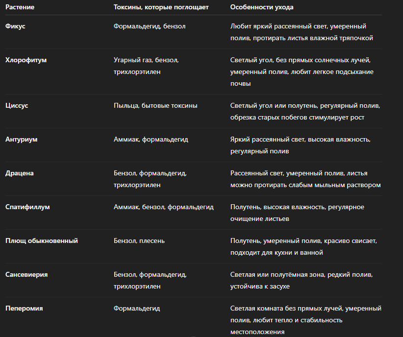 💡 Совет: для максимального эффекта фильтрации воздуха лучше сочетать 2–3 растения с разными способностями – например, фикус + спатифиллум + сансевиерия.